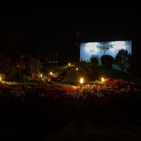 Kuca Za Odmor Martin Villa Sveti Martin Na Muri Exterior foto