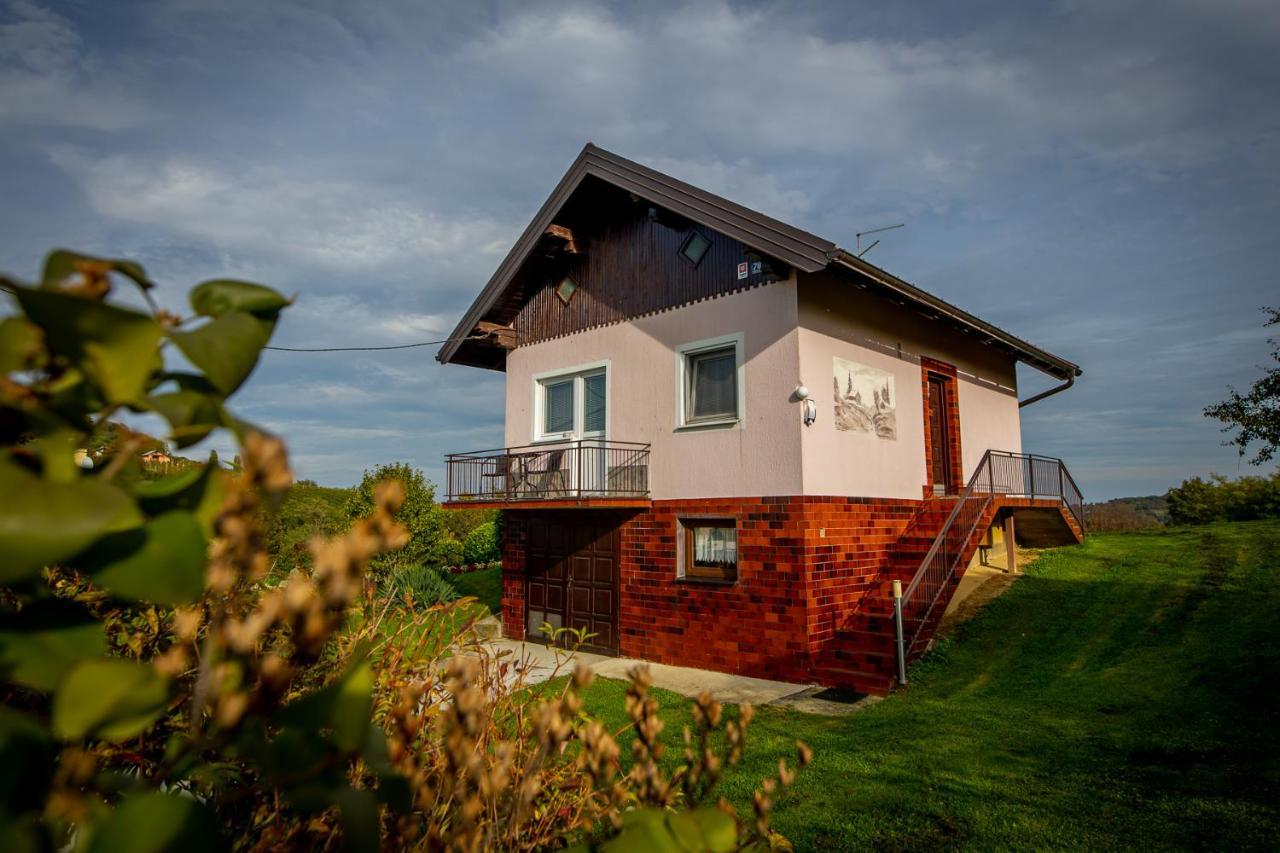 Kuca Za Odmor Martin Villa Sveti Martin Na Muri Exterior foto